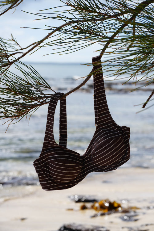 Conch Bikini Top